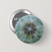 レヴェンツァンムスター 缶バッジ (正面&裏面)