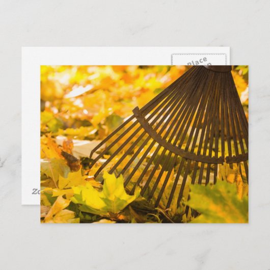 レーキとリーフ ポストカード (正面/裏面)