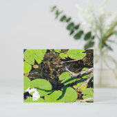 レークエリーメトロパークドラゴンフライ(ロゴ付き) ポストカード (スタンド正面)