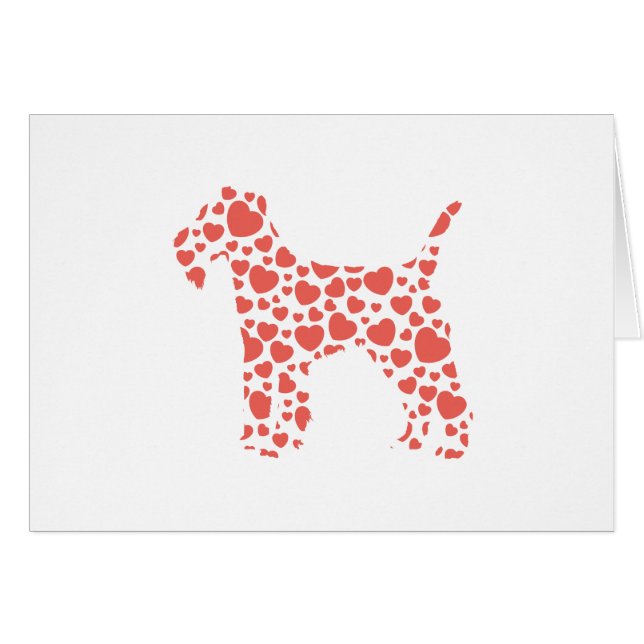 レークランドテリア (正面横)