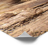 レーコン ポスター (角)