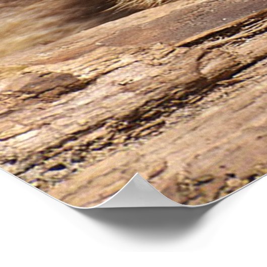 レーコン ポスター (角)