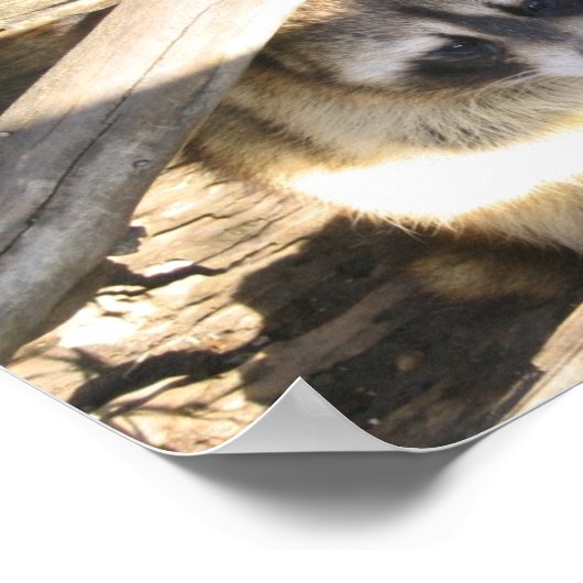 レーコン ポスター (角)