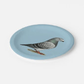 レーサーに青いレジ係ハトを示して下さい ペーパープレート (アングル)