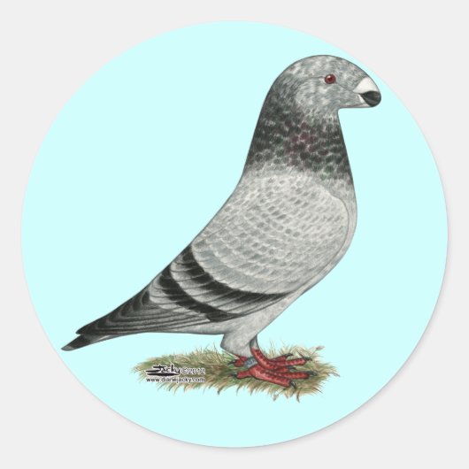 レーサーのグリズルを表示 ラウンドシール (正面)