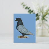 レーサーアンダルシアを表示 ポストカード (スタンド正面)