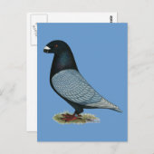 レーサーアンダルシアを表示 ポストカード (正面/裏面)