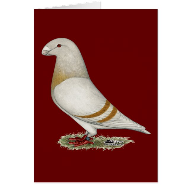 レーサーイエローバー (正面)