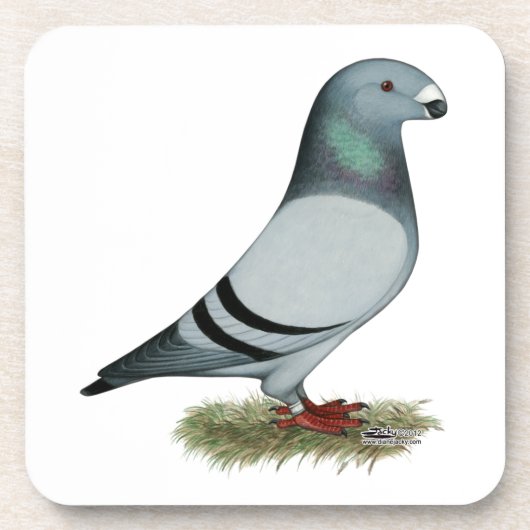 レーサーコンセプトの表示 コースター (正面)