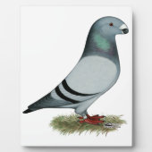 レーサーコンセプトの表示 フォトプラーク (正面)