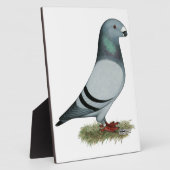 レーサーコンセプトの表示 フォトプラーク (側面)