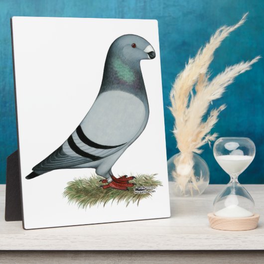 レーサーコンセプトの表示 フォトプラーク (側面)