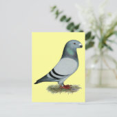 レーサーコンセプトの表示 ポストカード (スタンド正面)