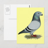 レーサーコンセプトの表示 ポストカード (正面/裏面)