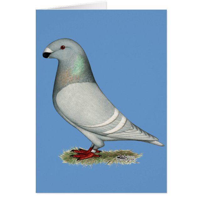 レーサーコンセプトヘンを表示 (正面)