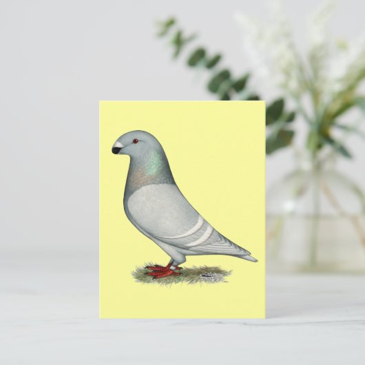 レーサーコンセプトヘンを表示 ポストカード (スタンド正面)