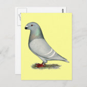 レーサーコンセプトヘンを表示 ポストカード (正面/裏面)