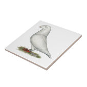 レーサーホワイトを表示 タイル (側面)