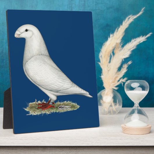 レーサーホワイトを表示 フォトプラーク (側面)