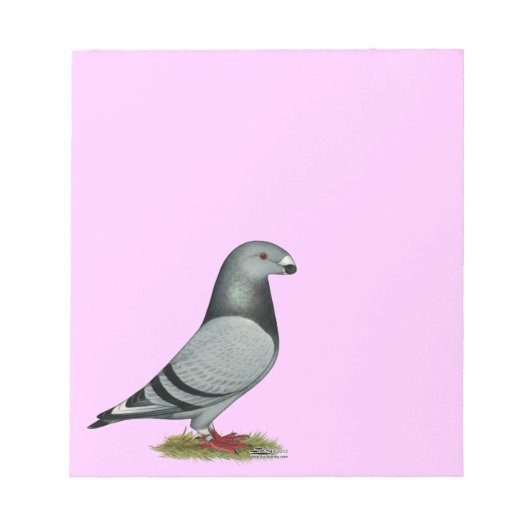 レーサーミスマークの表示 ノートパッド (正面)