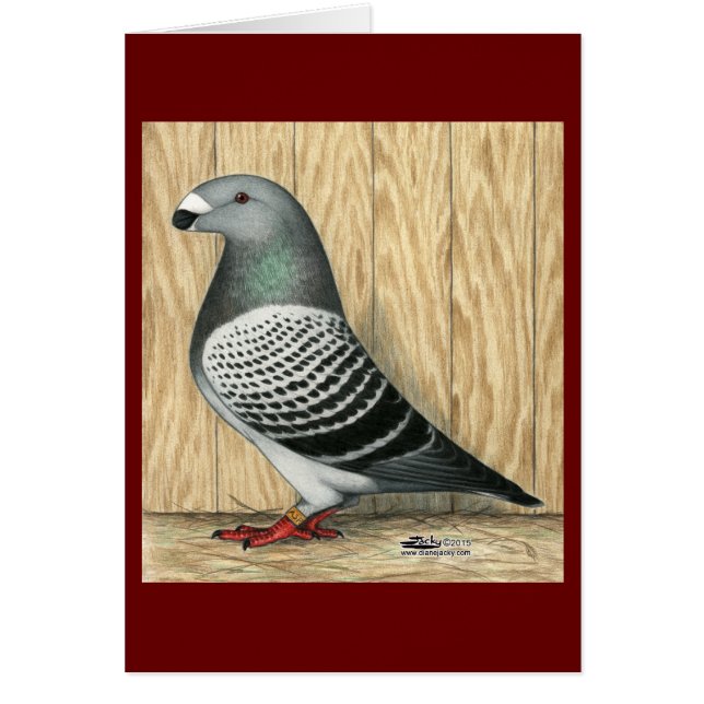 レーサーミディアムを市松模様に表示 (正面)