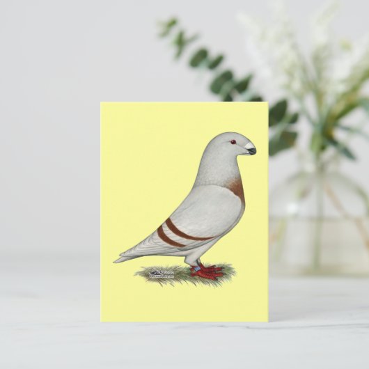 レーサーレッドバーハトを表示 ポストカード (スタンド正面)