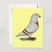 レーサーレッドバーハトを表示 ポストカード (正面/裏面)