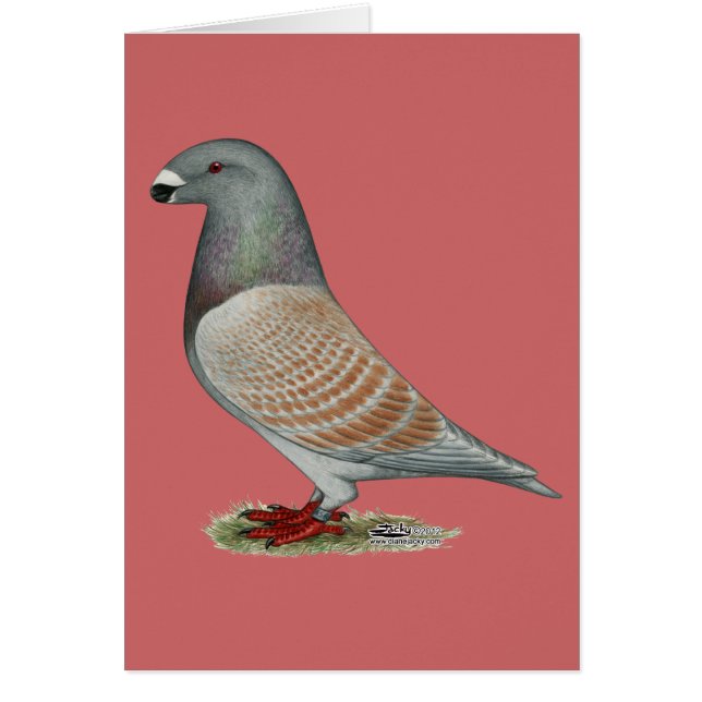 レーサー劣性オパールを表示 (正面)