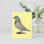 レーサー劣性オパールを表示 ポストカード (スタンド正面)