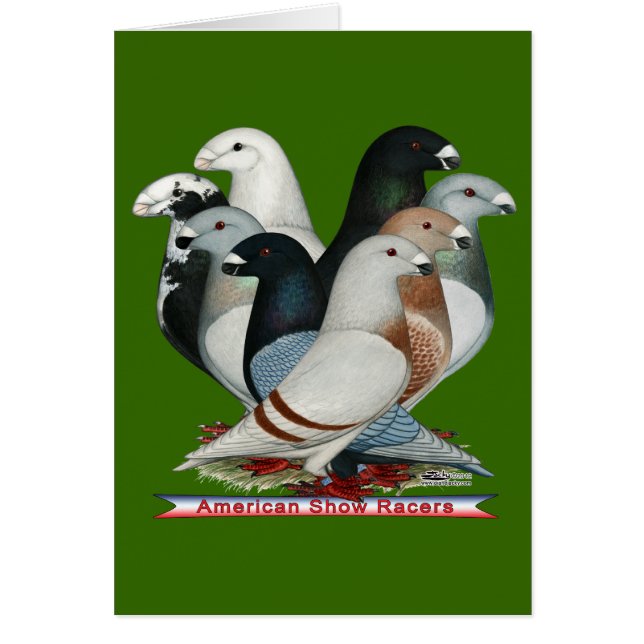 レーサー8を表示 (正面)