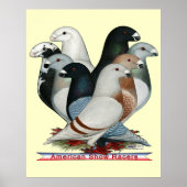 レーサー8を表示 ポスター (正面)