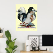 レーサー8を表示 ポスター (ホームオフィス)