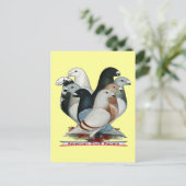 レーサー8を表示 ポストカード (スタンド正面)