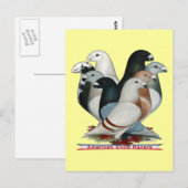 レーサー8を表示 ポストカード (正面/裏面)