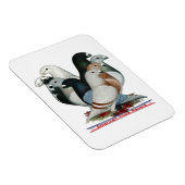 レーサー8を表示 マグネット (右側)