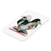 レーサー8を表示 マグネット (左側)