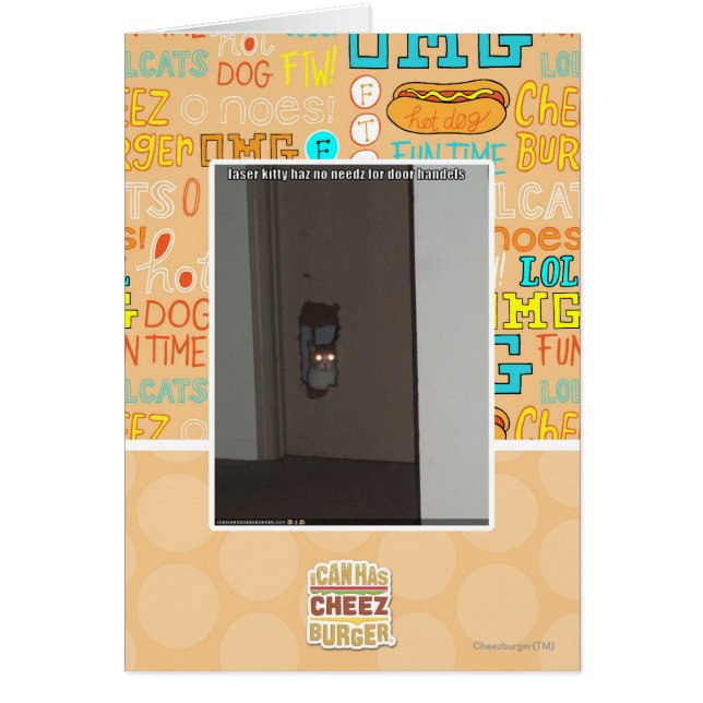 レーザーの子猫 (正面)