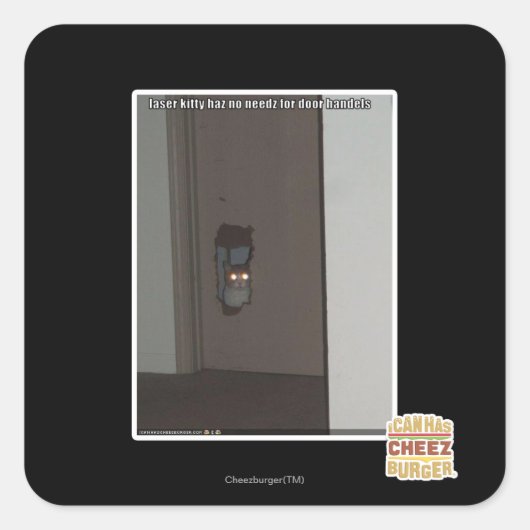 レーザー子猫 スクエアシール (正面)