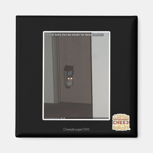 レーザー子猫 マグネット (正面)