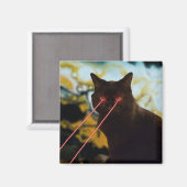 レーザー猫マグネット マグネット (正面/裏面)