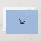 レーシングハト来ンのホームポストカード ポストカード (正面/裏面)