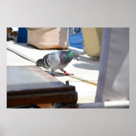 レーシングハト ポスター