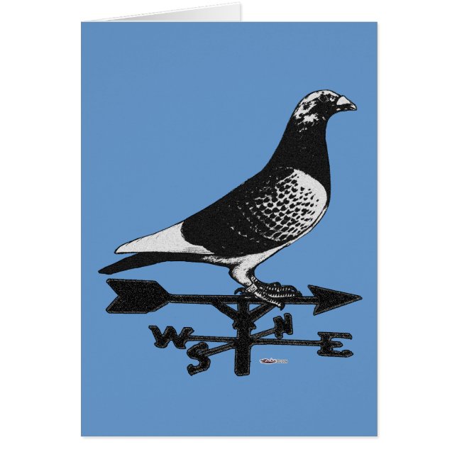 レーシングホーマー：ウェザーベーンホーマー (正面)