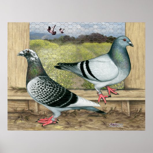 レーシングホームズインロフト ポスター (正面)