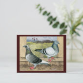 レーシングホームズインロフト ポストカード (スタンド正面)