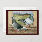 レーシングホームズインロフト ポストカード (正面/裏面)