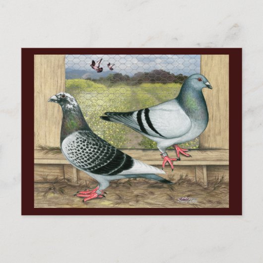 レーシングホームズインロフト ポストカード (正面)