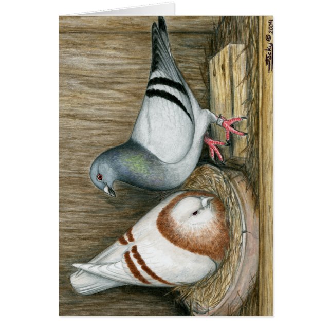 レーシングホームマーズ (正面)