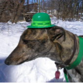 「レースしよう！」 カード