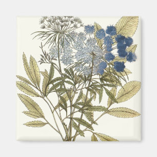 レースのような葉-花および緑の草木 マグネット